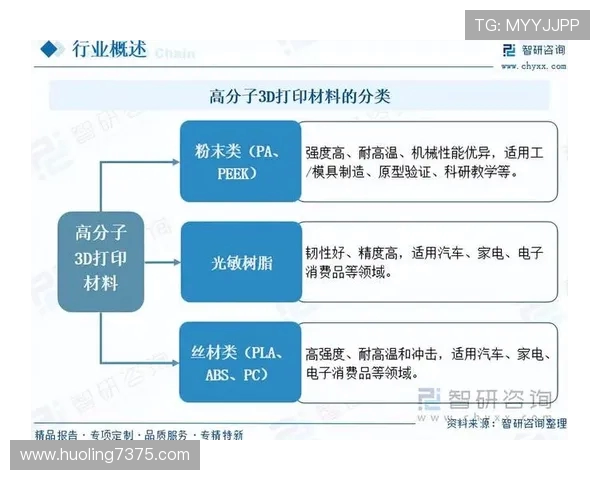 聚焦篮球运动员成长历程与赛场荣耀及未来发展全景深度解析趋势洞察 聚焦篮球运动员成长历程与赛场荣耀及未来发展全景深度解析趋势洞察
