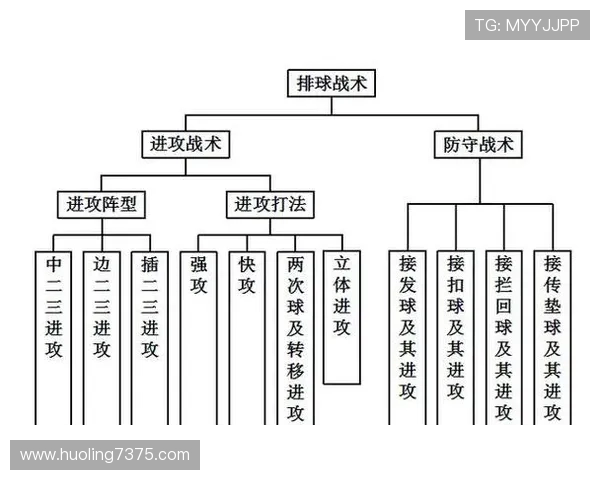 上海排球队在世界锦标赛中的战术表现分析与启示