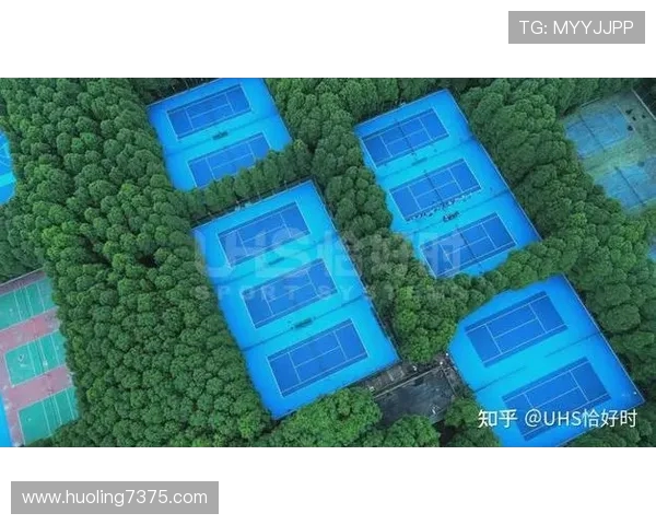 从草地到红土网球场上的速度与技巧全面解析 从草地到红土网球场上的速度与技巧全面解析