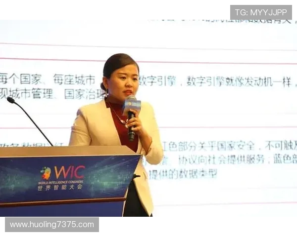 南京枫帆战队乘风破浪再创辉煌引领电竞新时代征程